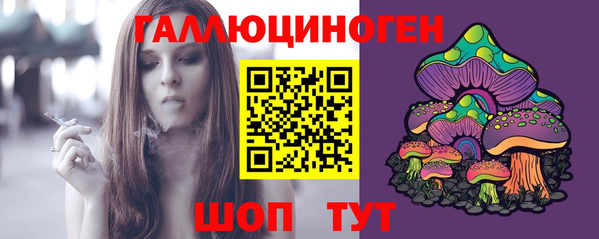 Псилоцибиновые грибы Cubensis  Вход с VPN  Арзамас 